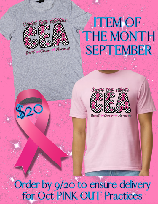 2025 Breast Cancer Shirt