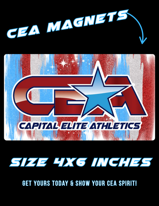 CEA Magnets